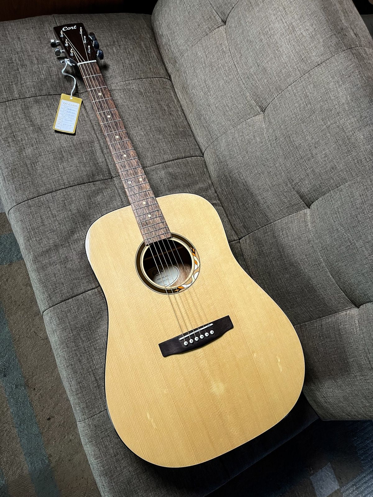 Cort E/ACOUSTIC GUITAR (+/+BAG) AD-810DX-NAT
