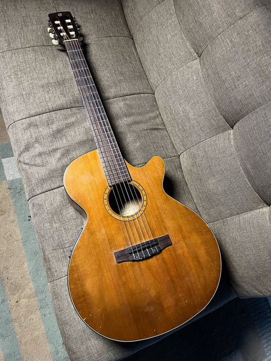 Cort cec5 fishman classic 4 pickups