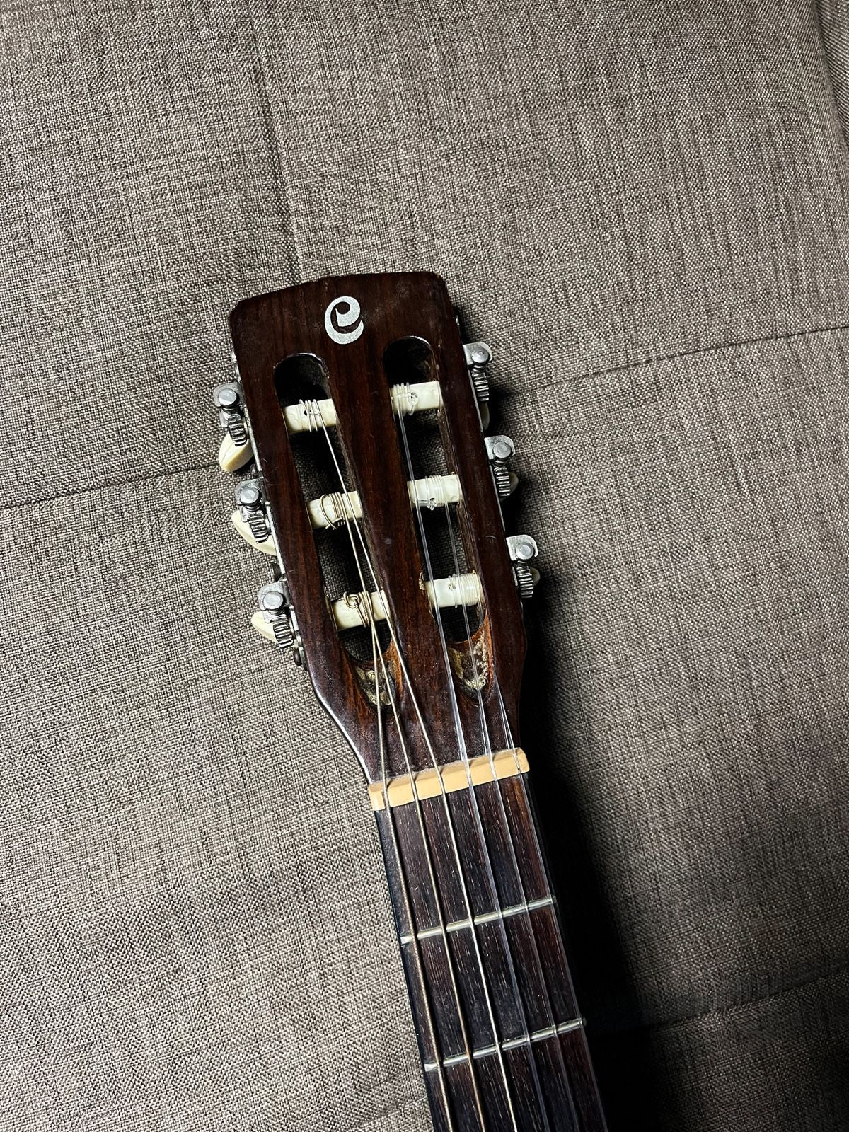 Cort cec5 fishman classic 4 pickups
