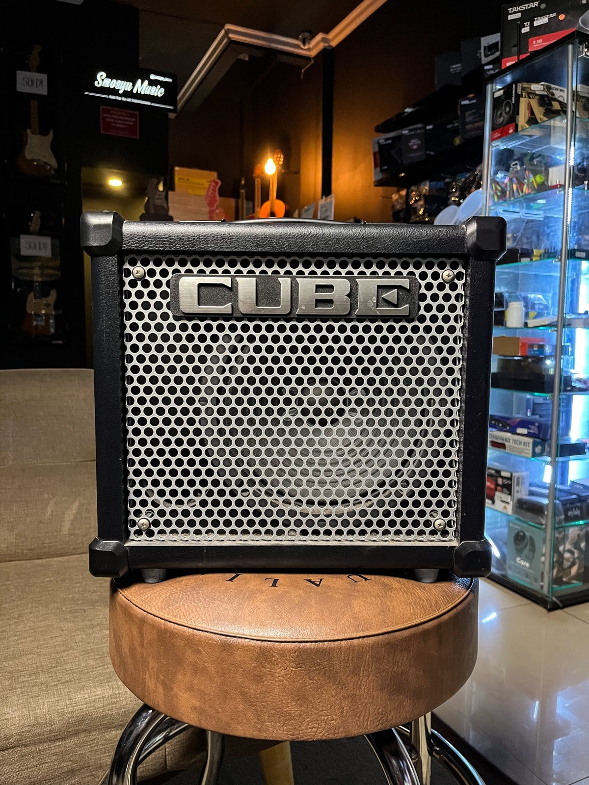 Roland cube 10gx