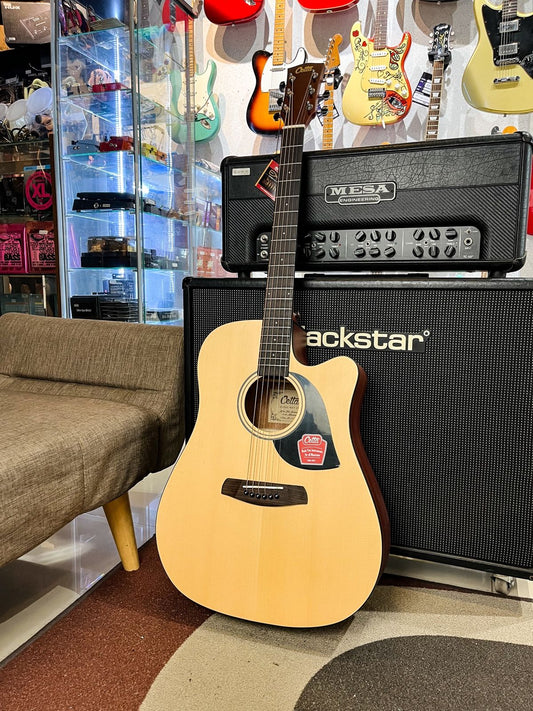 Gitar Akustik Cetta CD22C