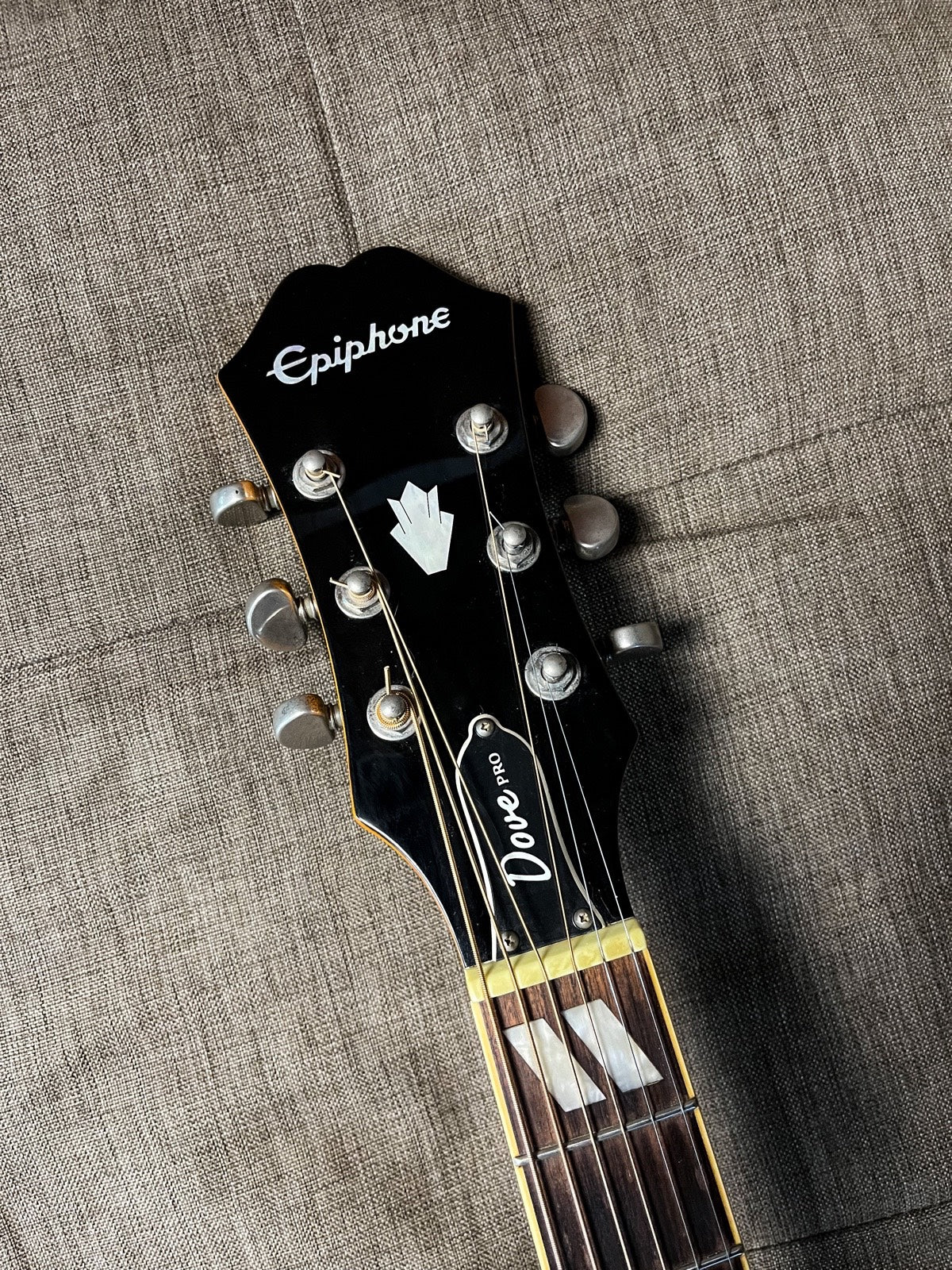 Epiphone dove pro