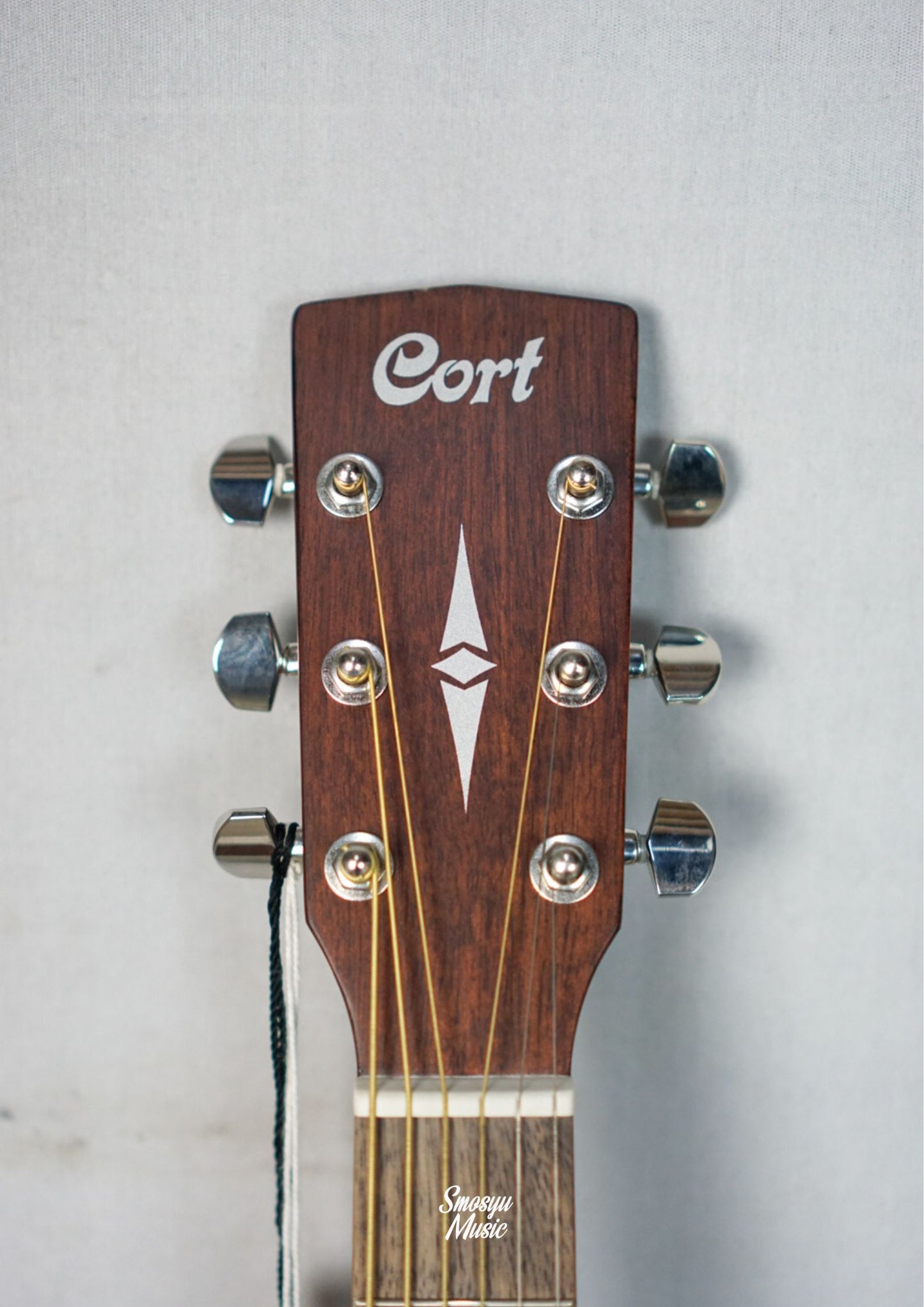 Cort Acoustic EARTH60CE-OP