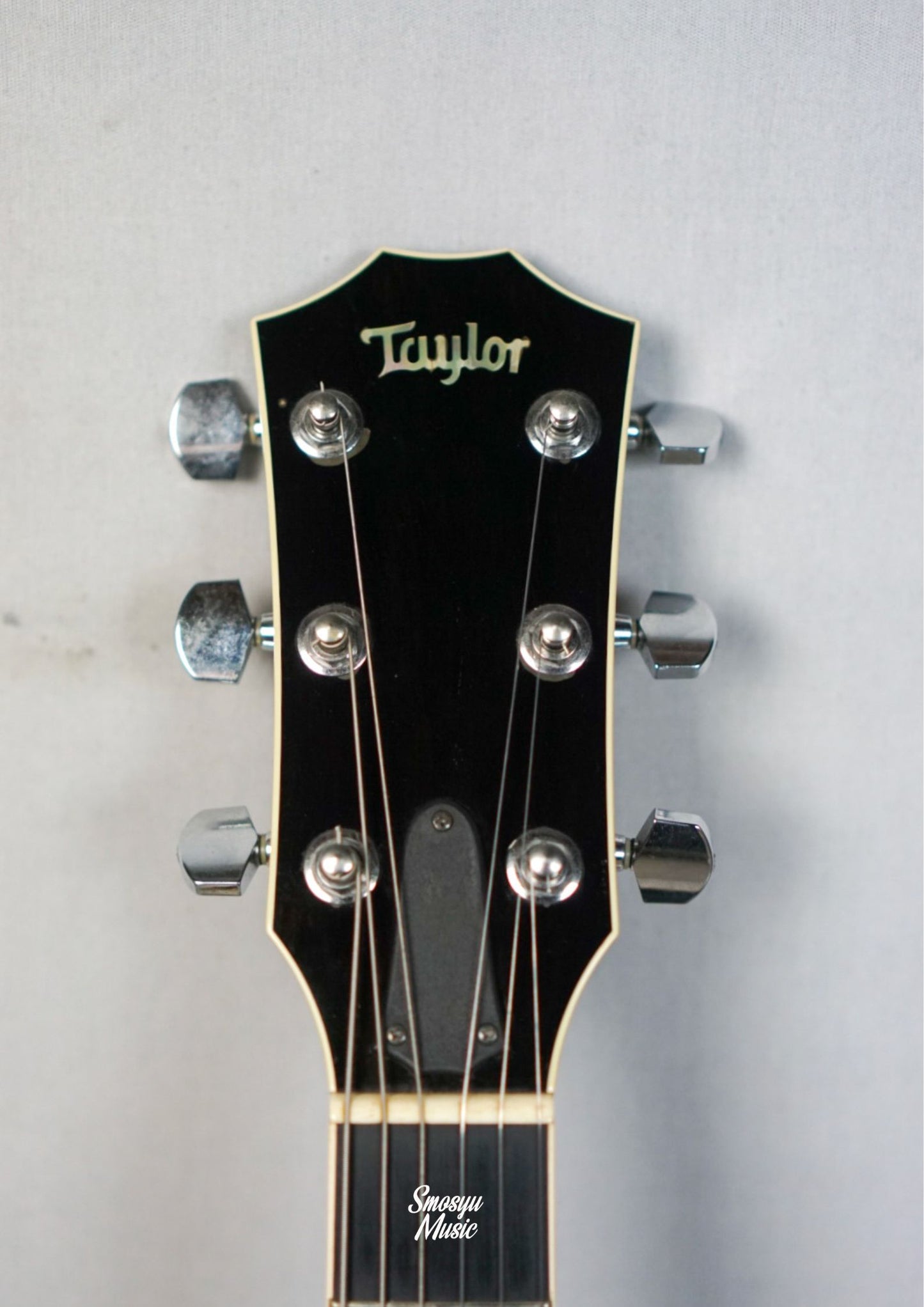 Taylor T5 SI