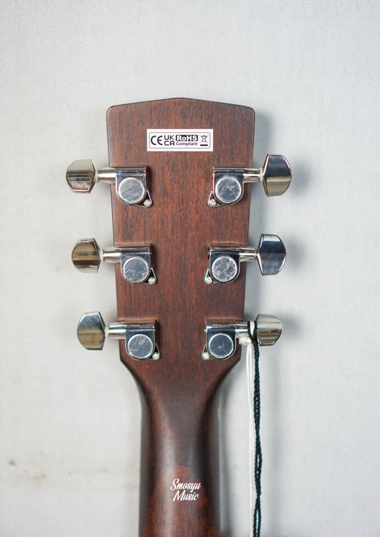 Cort Acoustic EARTH60CE-OP