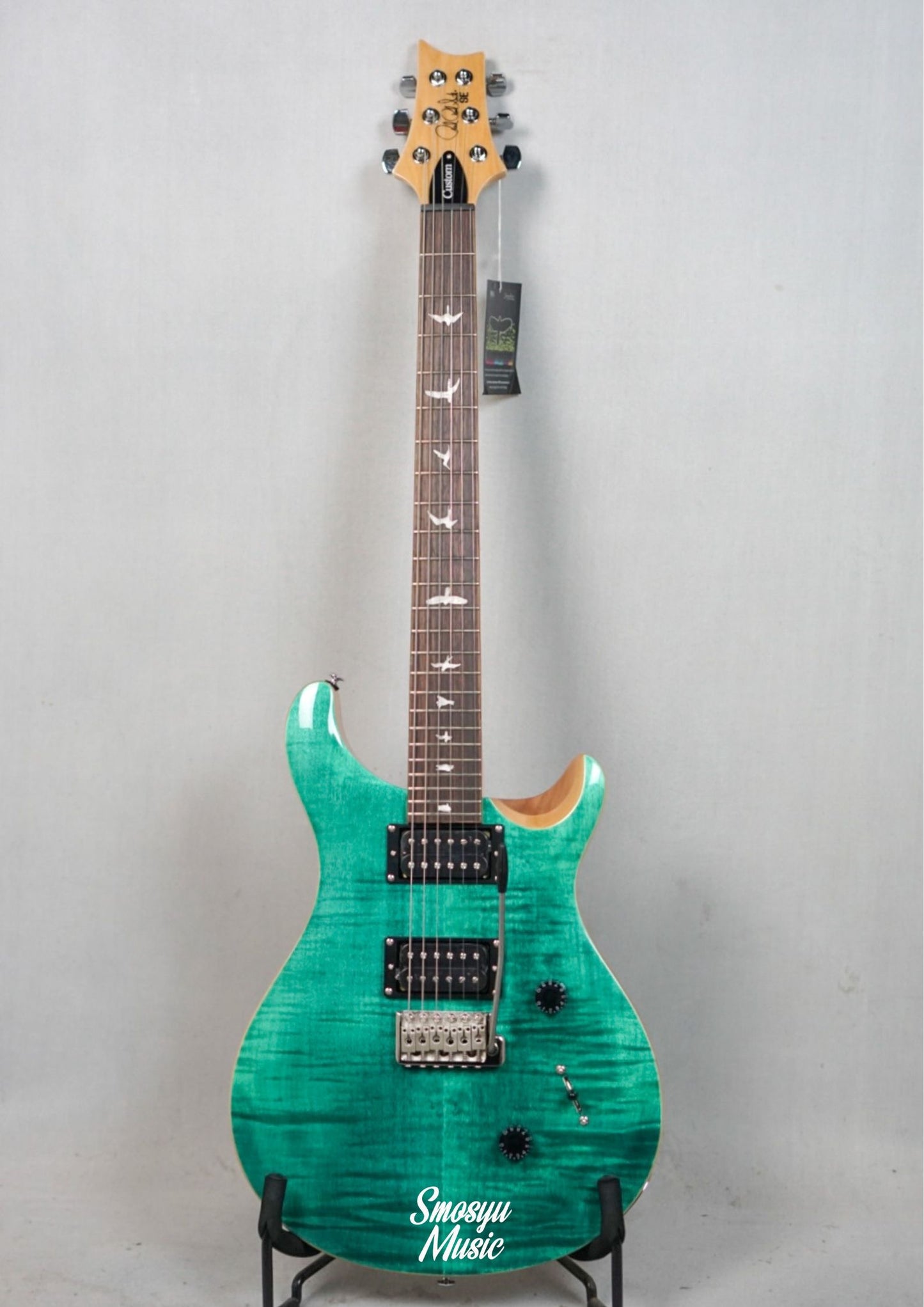 PRS SE CUSTOM 24 Turquoise