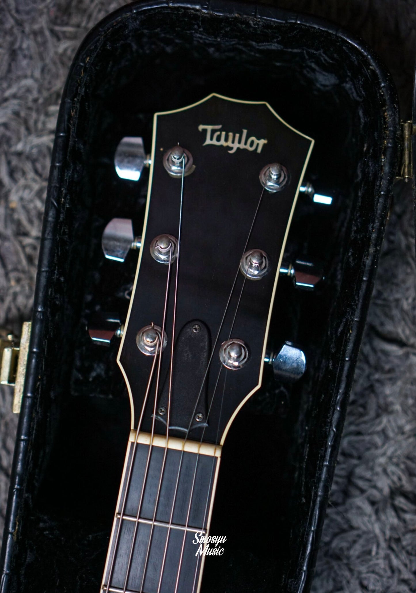 Taylor T5 SI