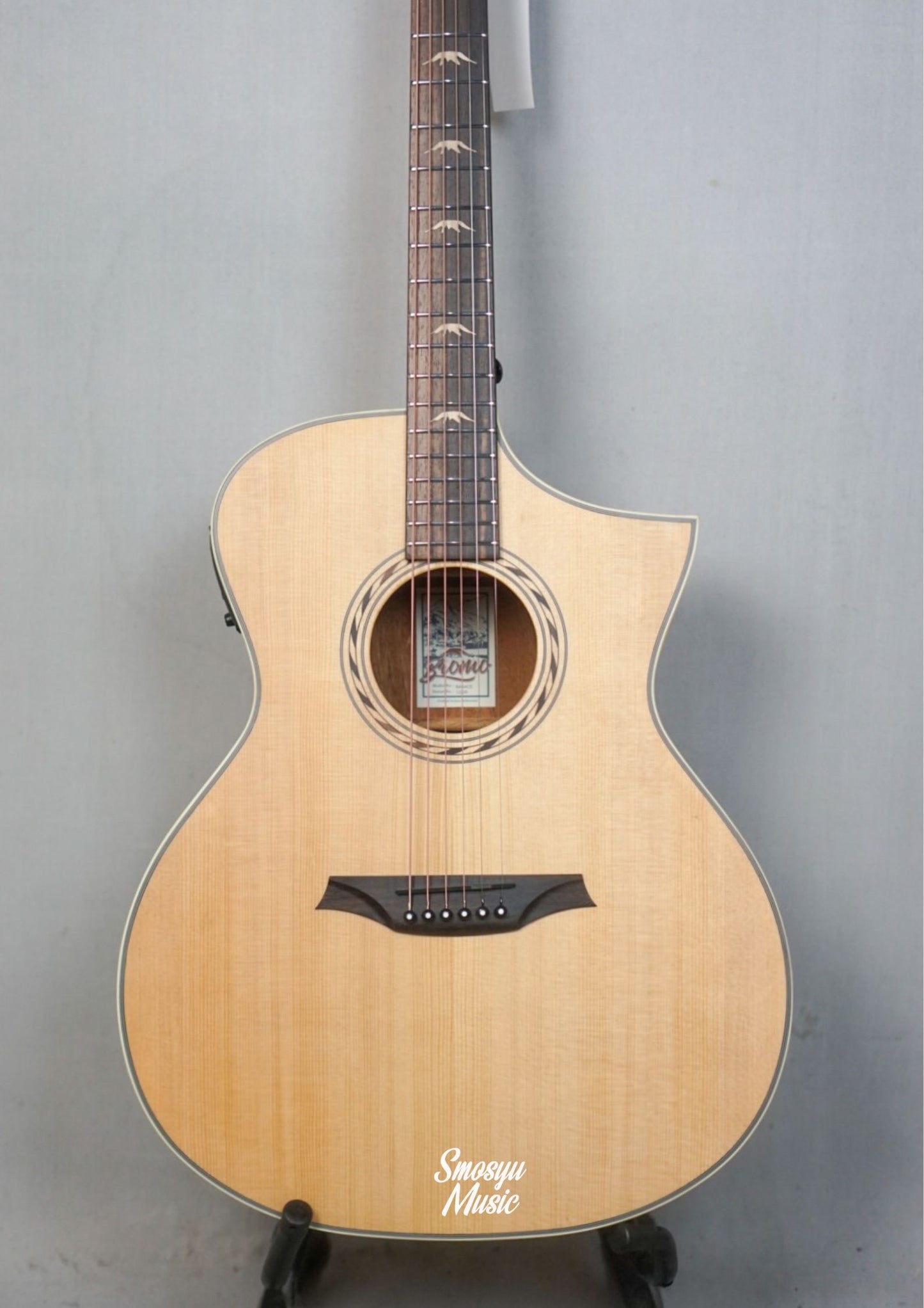 Bromo Acoustic Electric BAA4CE