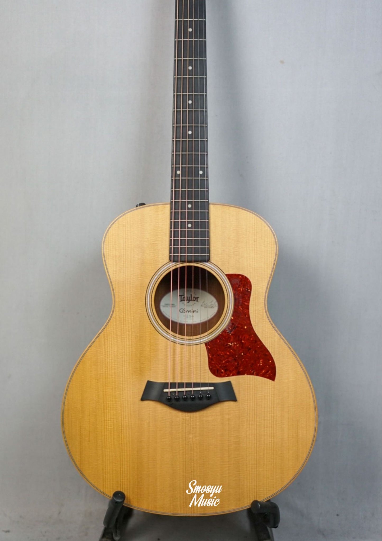 Taylor GS Mini Rosewood