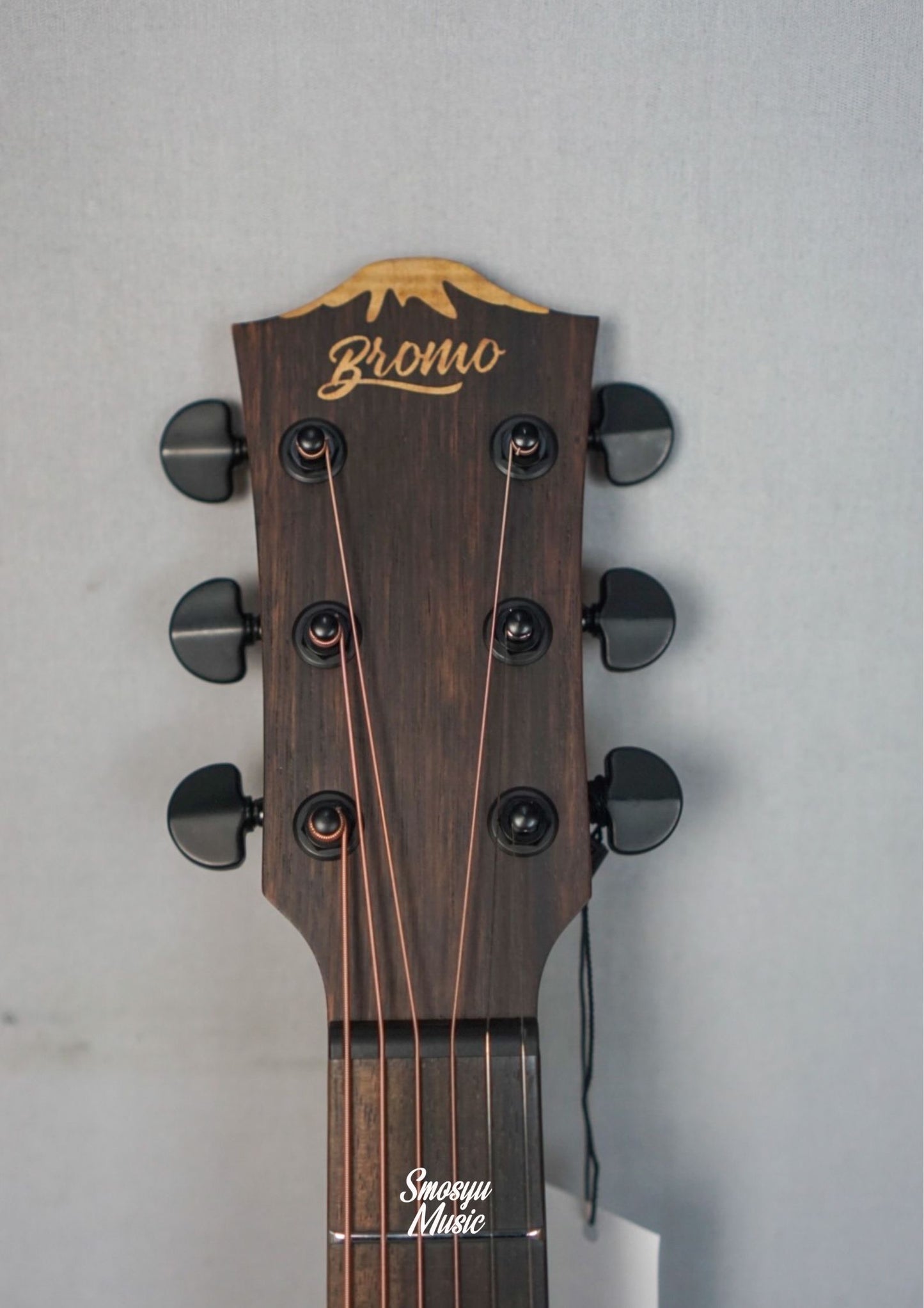 Bromo Acoustic Electric BAA4CE