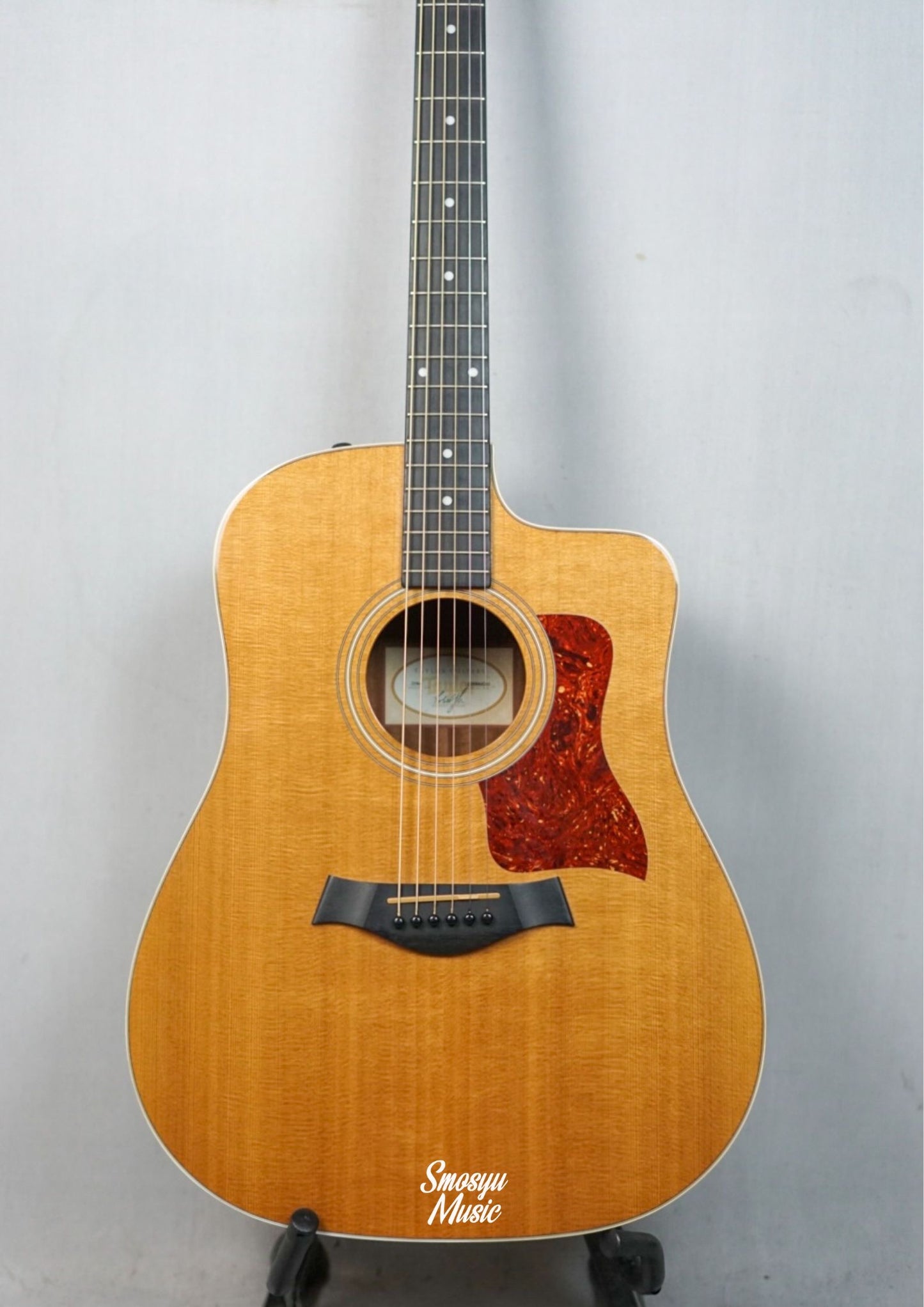 Taylor 210CE