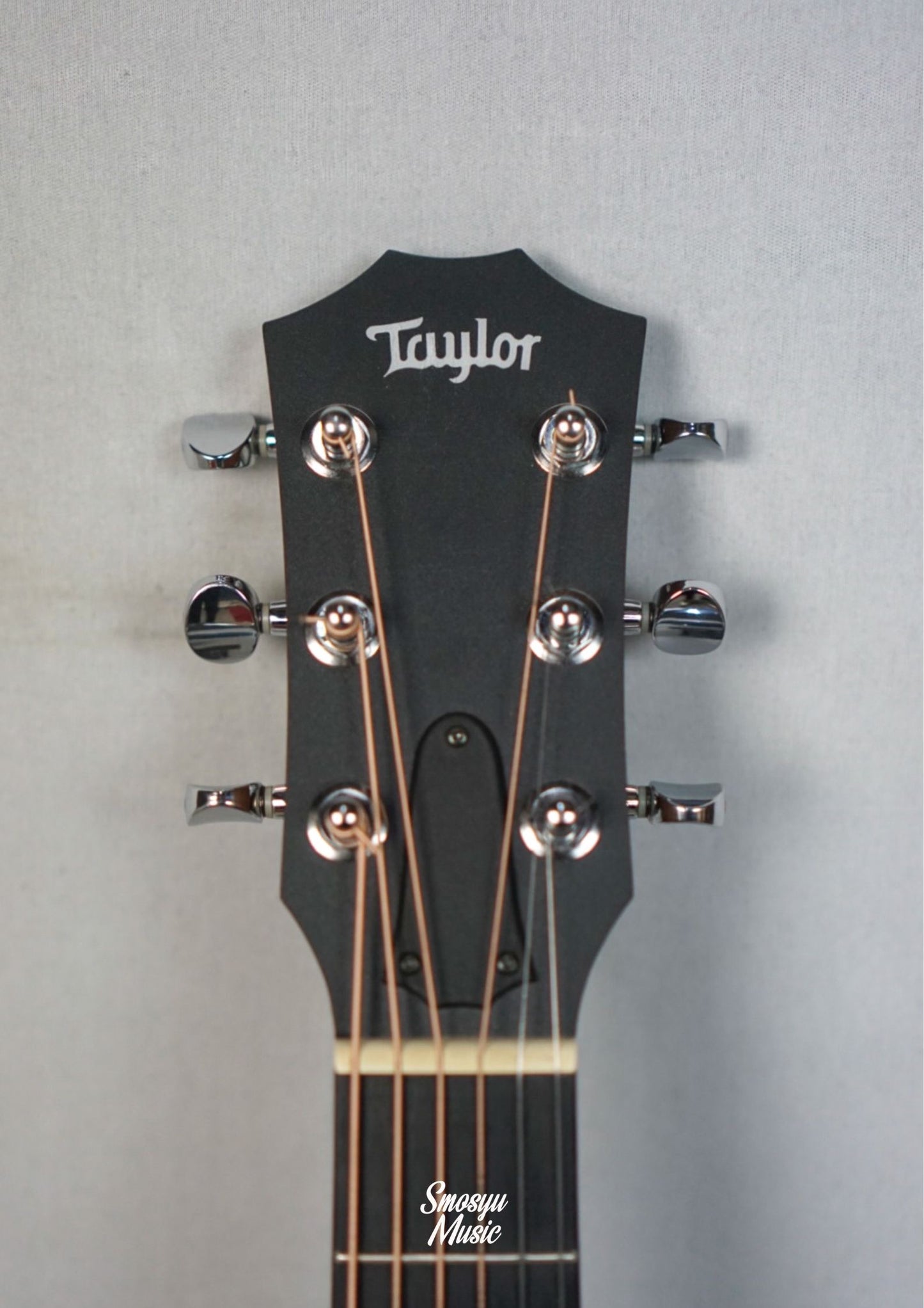 Taylor GS Mini Rosewood