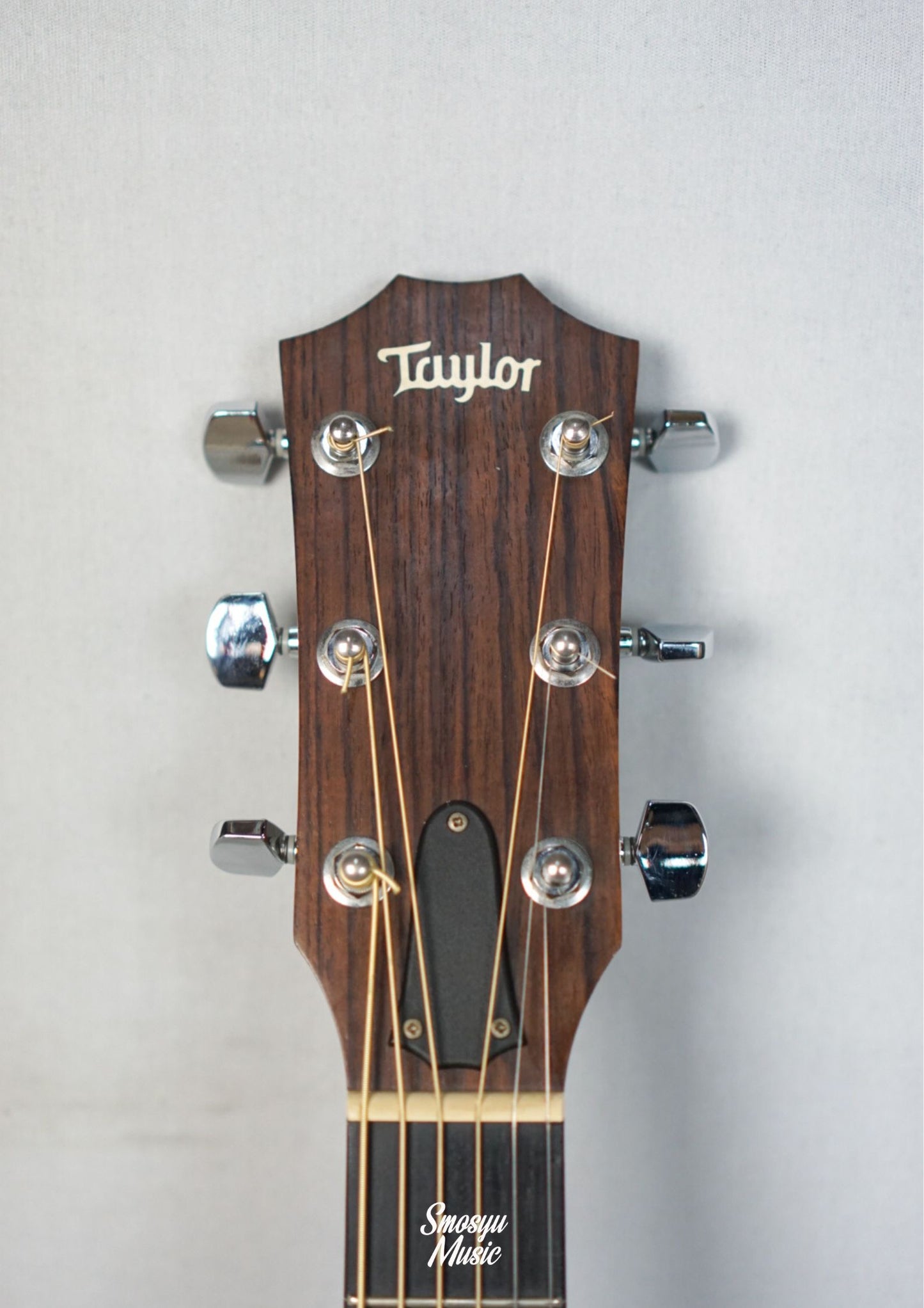 Taylor 210CE