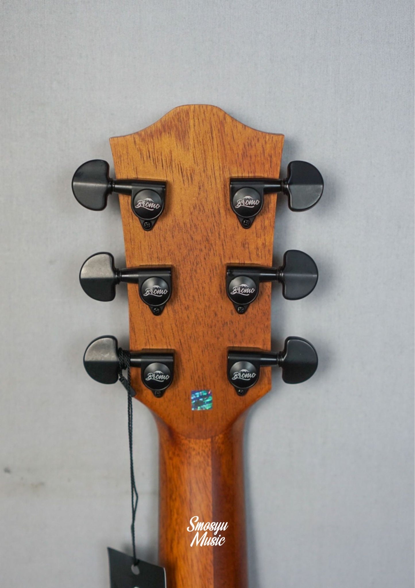 Bromo Acoustic Electric BAA4CE