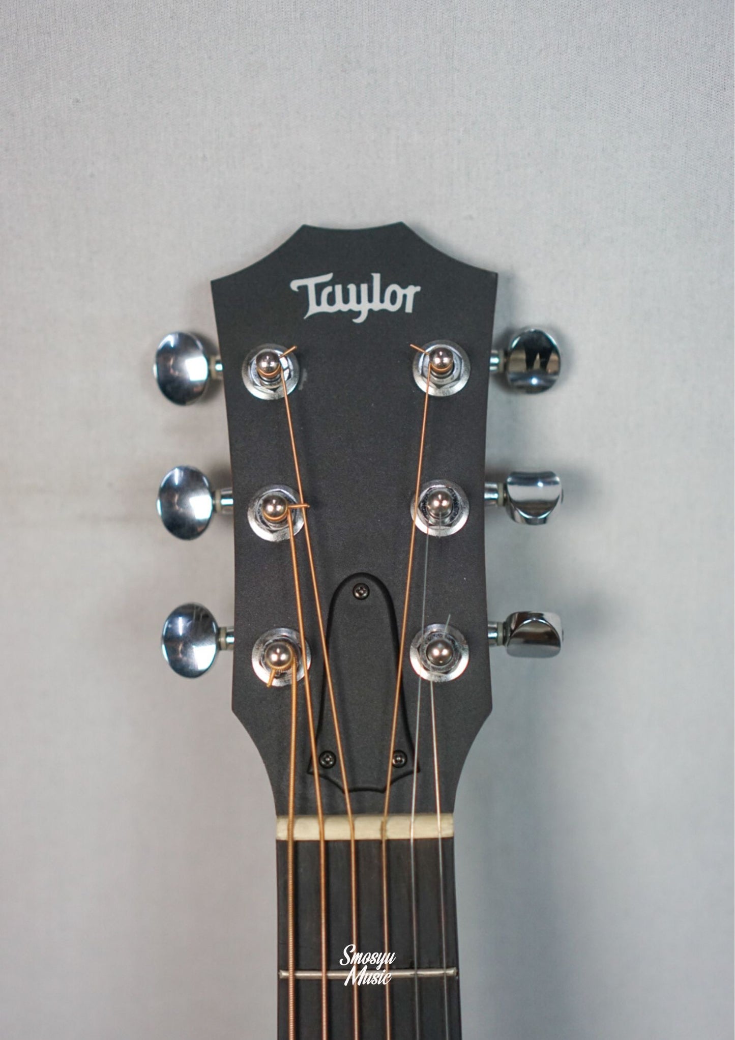 Taylor GS Mini KOA