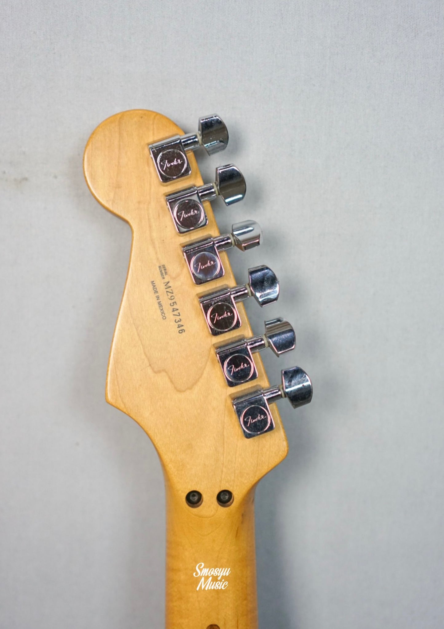 Fender Stratocaster Standard Floydrose