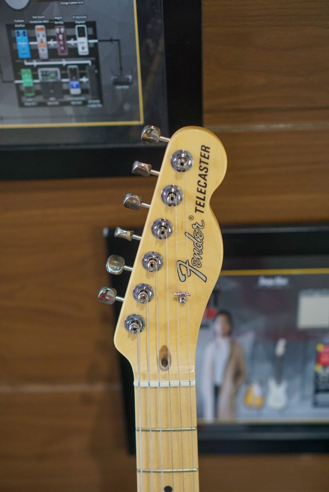 Fender Telecaster American Performer SH