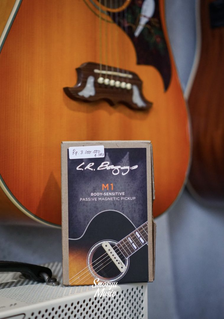 LR Baggs M1 Passive Acoustic Guitar Soundhole Pickups – smosyumusic-com