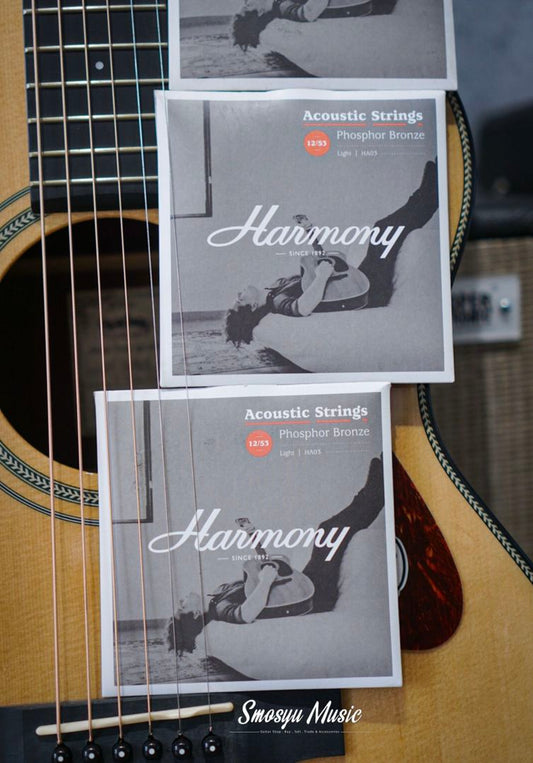 Senar Harmony HA03 Phosphor Bronze Acoustic Guitar Strings Light 12-53