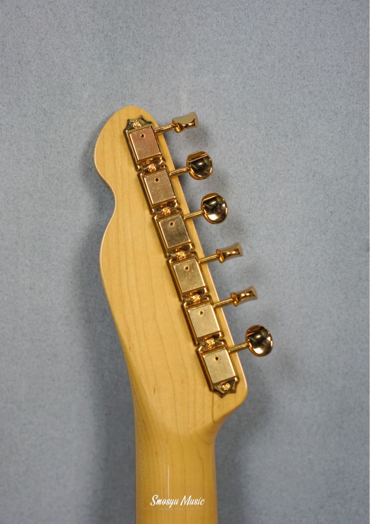 Tokai ATE106B-MH G BB/R