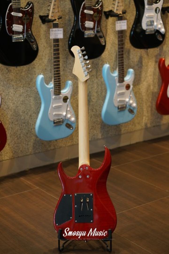 BACCHUS GLOBAL GRACE FT /FM RED GRD