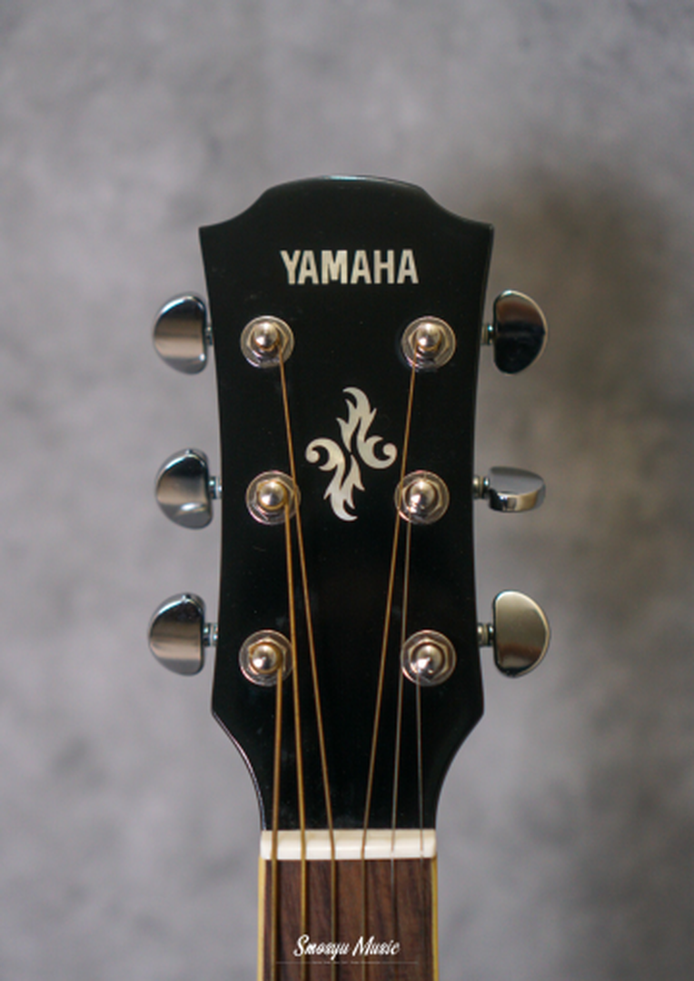 Yamaha APX 600