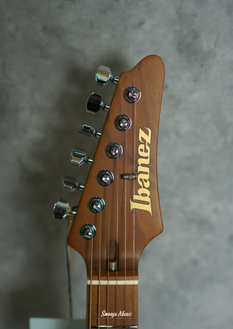 Ibanez Guitar MSM100 FGB