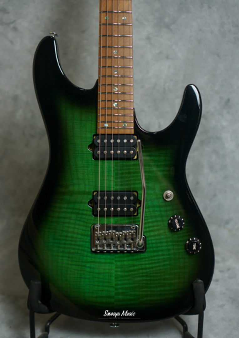 Ibanez Guitar MSM100 FGB