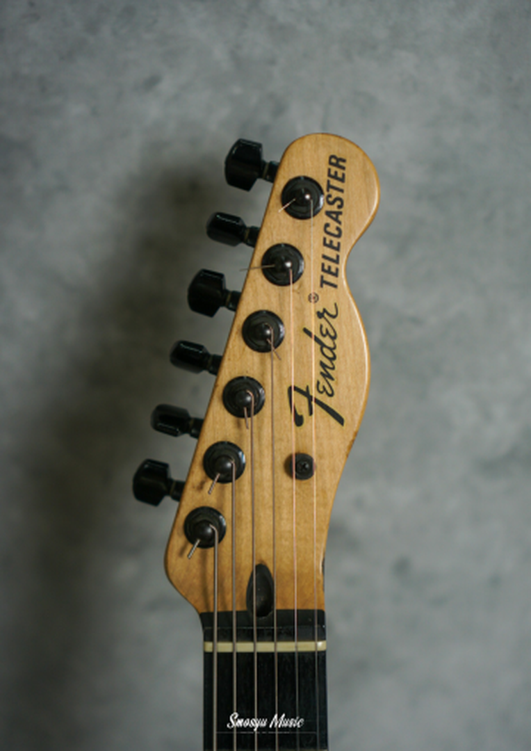 Fender Telecaster Jim Root