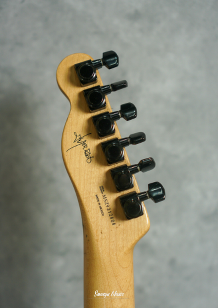 Fender Telecaster Jim Root