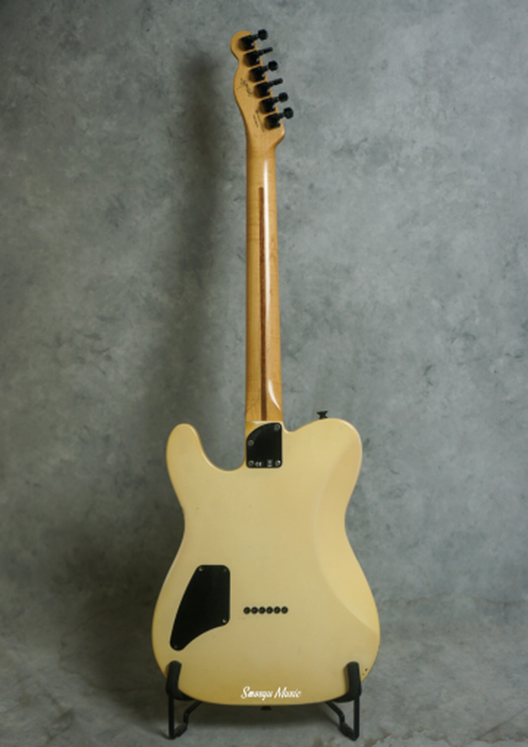 Fender Telecaster Jim Root