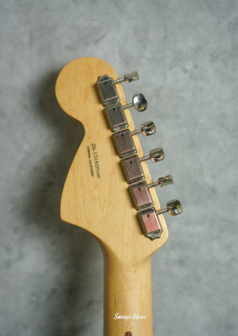 Fender Stratocaster American Performer Penny