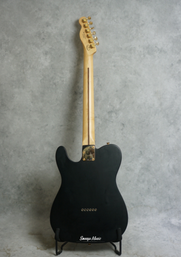 Fender Telecaster Thinline Deluxe Limited Edition