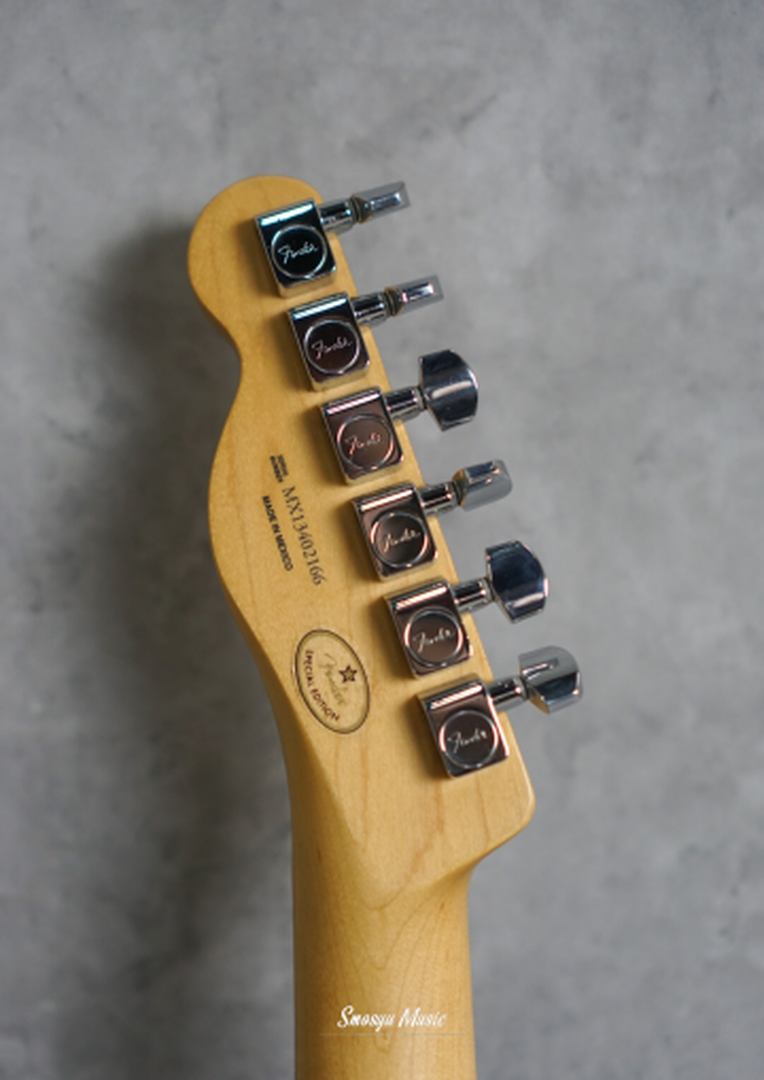 Fender Telecaster Standard Special Edition