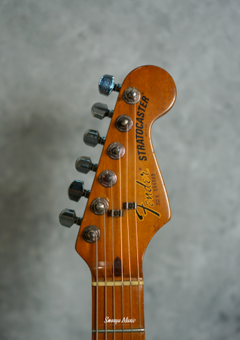 Fender Stratocaster Natural 1982 Dan Smith