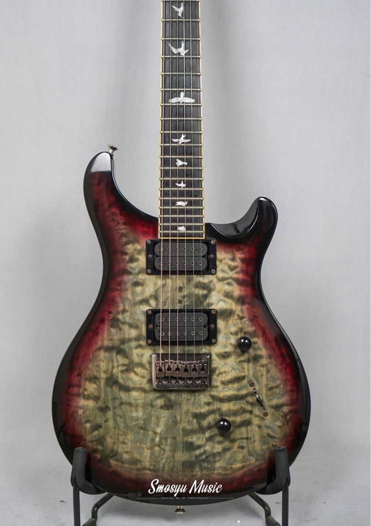 PRS SE Mark Holcomb