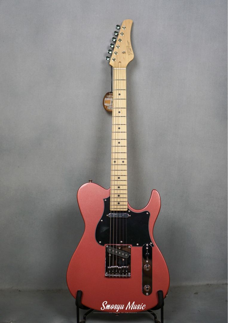 FGN Fujigen BIL2M-BGM