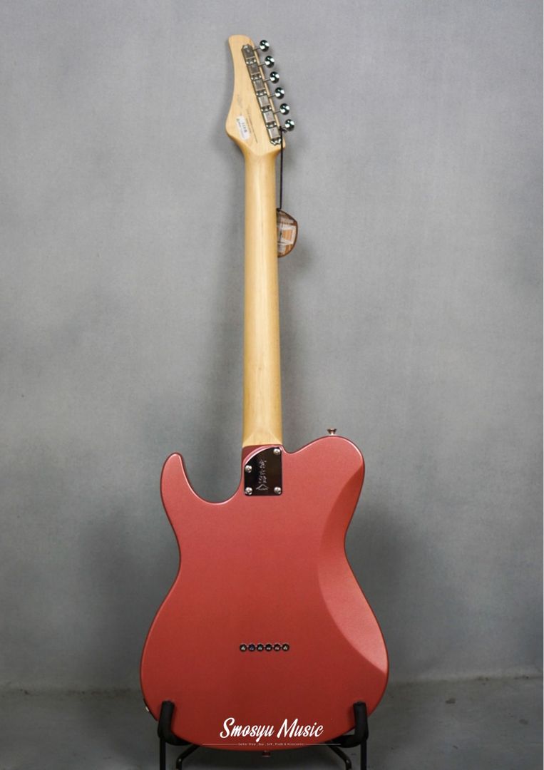 FGN Fujigen BIL2M-BGM