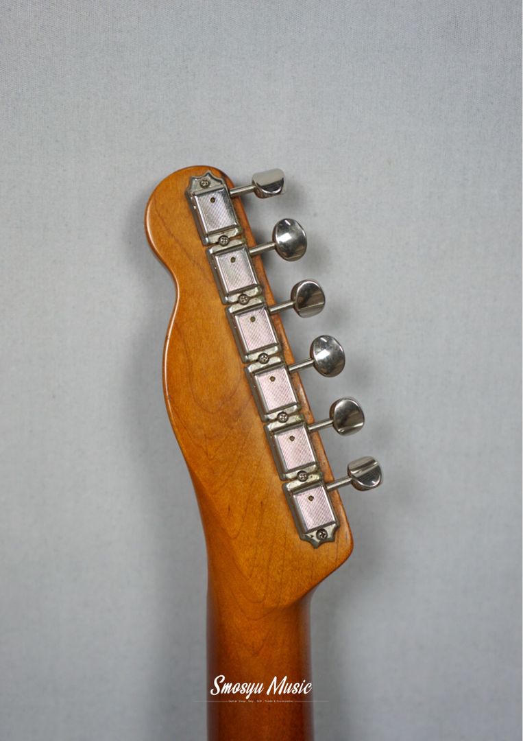 Fender Telecaster Avri 52 Hotrod Relic