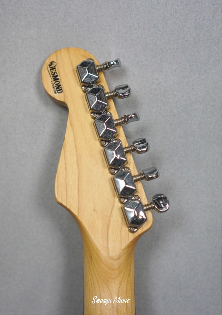 Squier Stratocaster Korea Upgrade Desmond