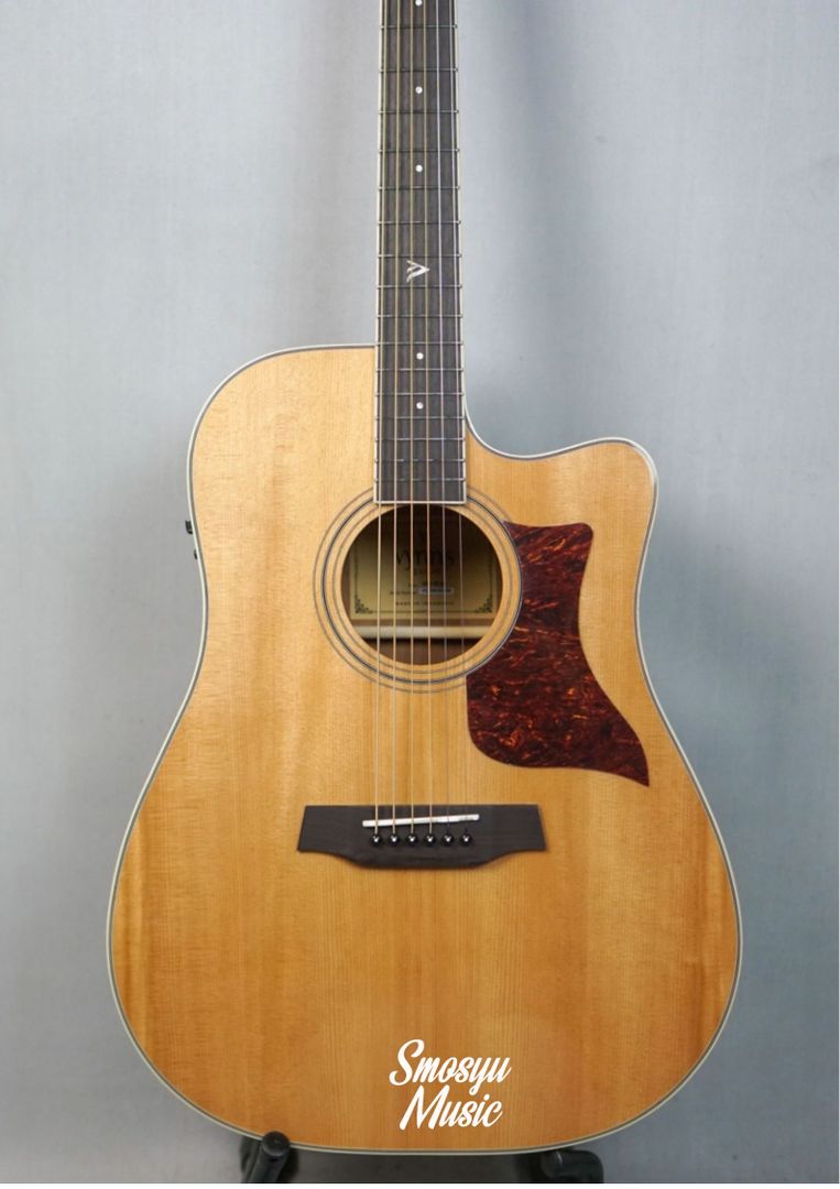 Vynn’s Guitar Acoustic Electric D02 CE-SP