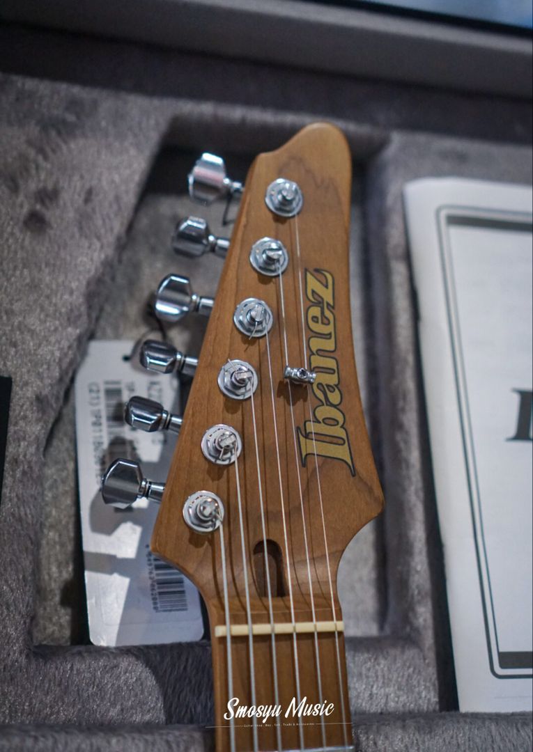 Ibanez Premium AZ224F