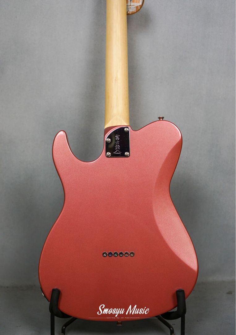 FGN Fujigen BIL2M-BGM