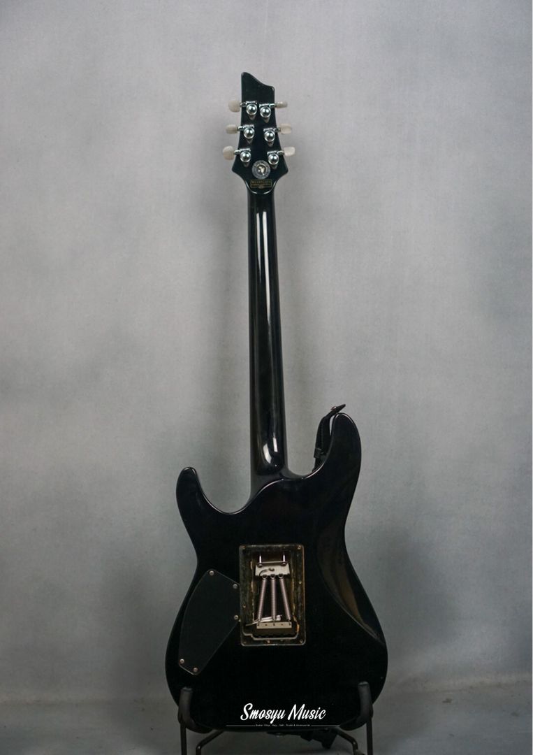 Schecter Diamond Series C1 Custom Floydrose