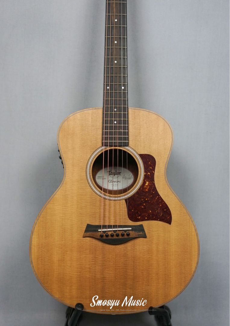 Taylor GS Mini