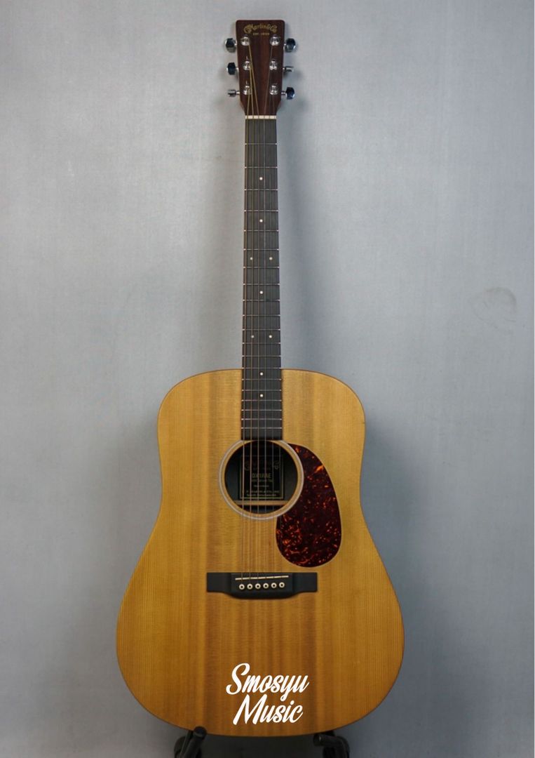 Martin DX1 RAE