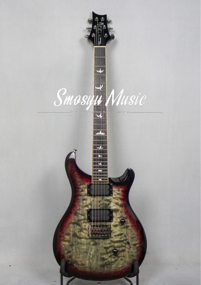 PRS SE Mark Holcomb