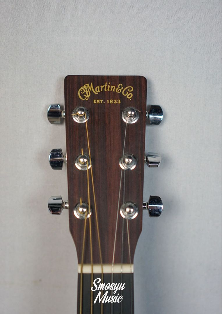 Martin DX1 RAE