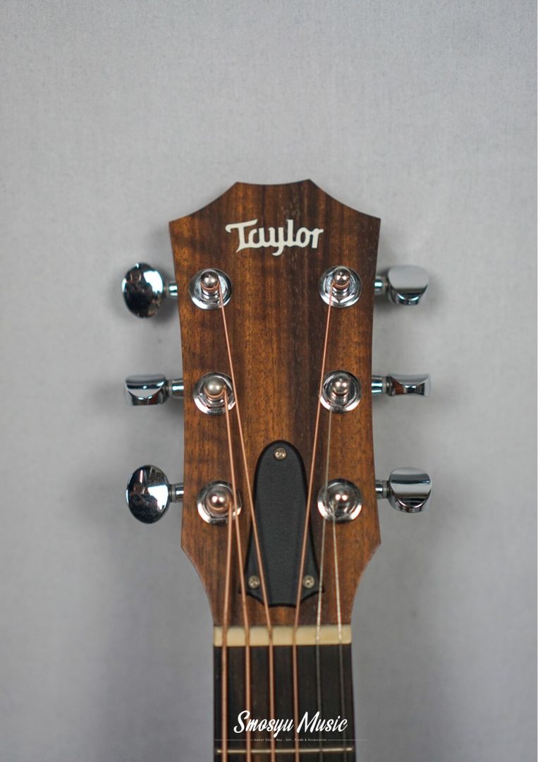 Taylor GS Mini