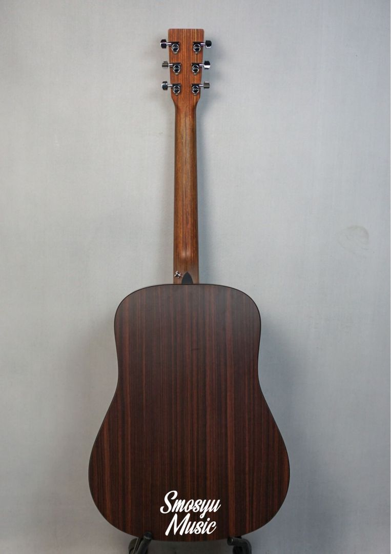 Martin DX1 RAE